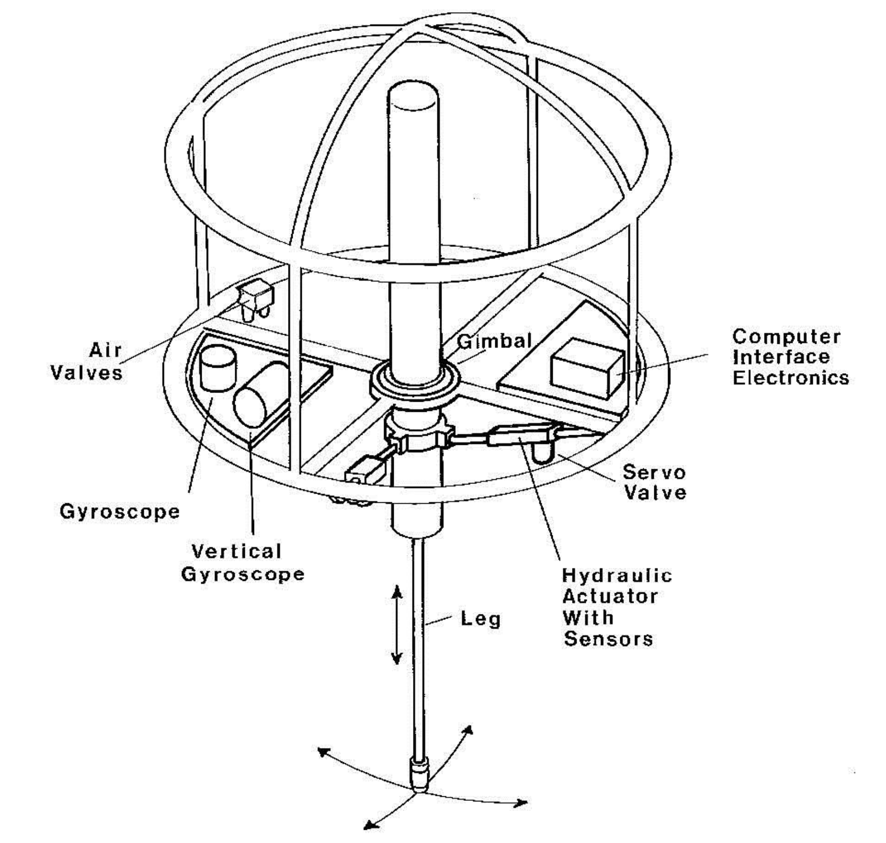 3D One-Legged Hopping Robot